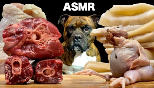 【大食い犬ASMR】ダチョウの骨付き肉を豪快に噛み砕き生肉を飲み干す愛犬は勇ましいwww