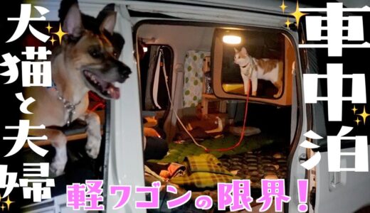 【車中泊】猫と大型犬と夫婦が軽ワゴンで車中泊の旅に出ました！