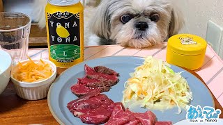 うちの犬に大好きな馬肉を食べさせたら目ヂカラすごいwwww