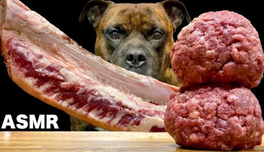 【大食い犬ASMR】巨大牛の骨付き肉をバリバリ噛み砕く音が衝撃すぎるwww