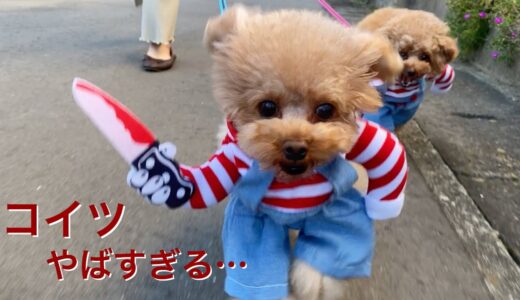 ヤバい犬が外を徘徊してると目撃情報が相次ぐ…【Happy Halloween】