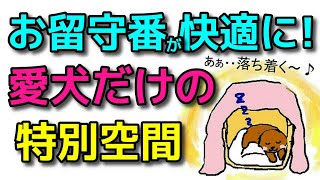 【犬 ハウス・ケージ・サークル】寒いこの時期おススメ！お留守番がもっと快適になるぐっすり眠れる愛犬だけの寝床の作り方！新遠藤エマチャンネル【犬のしつけ＠横浜】