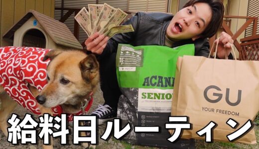 【給料激減】雑種犬と暮らす登録者6万人YouTuberの給料日の過ごし方