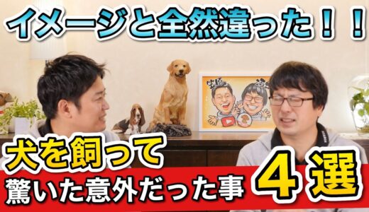 【犬を飼って驚いた意外なこと4選！】をペットショップ店長が解説します！