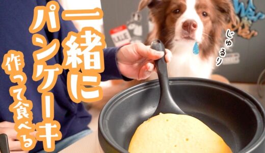 【犬と料理】ボーダーコリーとパンケーキを一緒に作って食べる！！【手作りおやつ】