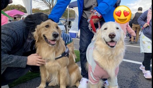 犬祭里山vol.5 in 岐阜清流里山公園