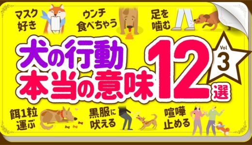 ❤️犬の行動・しぐさの本当の意味 12選【Part.3】