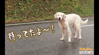 【犬】お爺は言った！「待ってたよ～！」