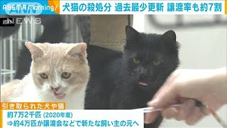 犬猫殺処分　過去最少2.3万匹　譲渡率約7割で最高に(2021年12月24日)