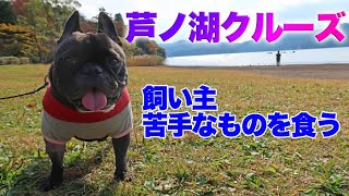 犬も一緒に芦ノ湖クルーズ！お土産の最高級かまぼこ1500円を練り物苦手な飼い主が食べたら