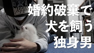 【初告白】婚約破棄で犬を飼うことになった話