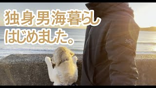 東京在住の独身男がいよいよ大型犬と海辺暮らしをはじめてみた！ゴールデンレトリバーの子犬ティト。