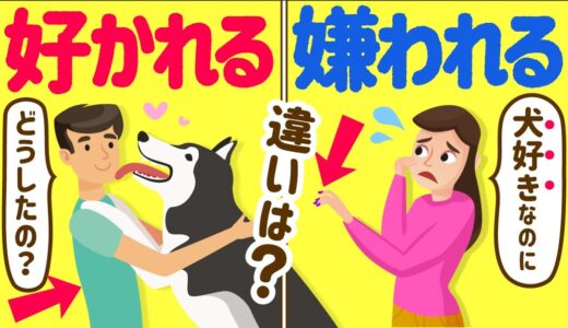 犬になつかれる人の特徴 11選❤️好かれる方法もわかる！