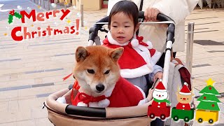 小さなサンタさんたちとお出かけしてきました｜犬と子供のvlog