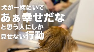 犬が一緒にいて幸せだなと思う人にしか見せない行動