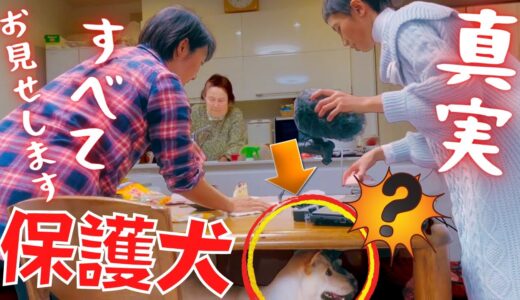 【真相】「うちの子3万」の裏側！保護犬2匹が爆睡した理由が可愛すぎるｗ