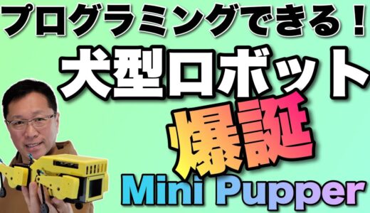 ロボット犬が爆誕。今回は「Mini Pupper」をレビューします。なめらかに生きてるように動きます。プログラミングもできますよ！