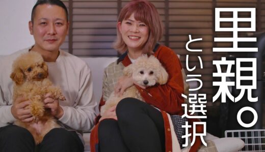 【ご報告】保護犬・里親施設から家族を迎え入れました｜亡き愛犬の命が教えてくれたこと