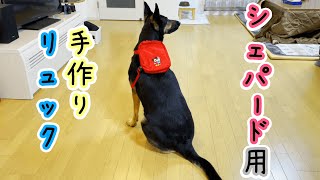 手作りの犬用リュックを背負ったシェパードが幼稚園児みたいでかわいい【German Shepherd】 My Dog Wears Her Handmade Backpack!