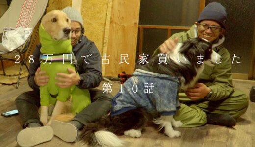 犬と友達と古民家DIYした１日