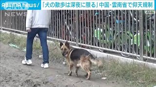 「犬の散歩は深夜に限る」中国・雲南省で仰天規制(2021年12月9日)