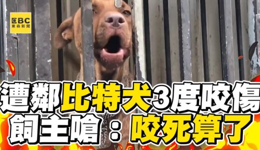 女遭鄰比特犬3度咬傷！飼主反嗆：咬死算了@東森新聞 CH51