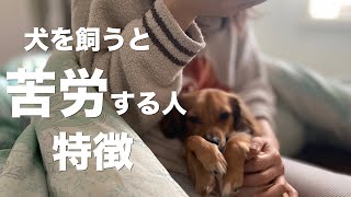 犬を飼うと苦労する人の特徴