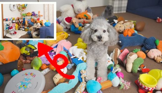 🐶100均アイテムで悩み解決！犬のおもちゃ収納DIYとニオイ対策について。【トイプードル】