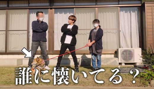 【第２回】雑種犬コロちゃんは家族で1番誰に懐いてる？