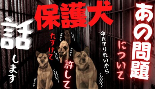 【保護犬の竜之助とアッチャン】「※〇〇のこと話します」でも・・