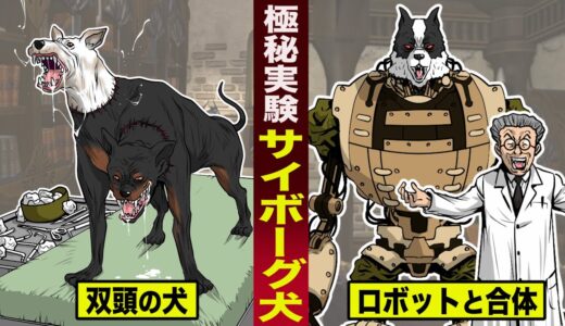 【極秘実験】ソ連の犬のサイボーグ化実験。犬の首を繋ぎ合わせ…双頭の犬やサイボーグ犬を作った。