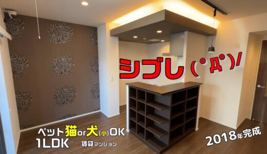 シブし😎1LDKペット猫or犬小可🐱🐶賃貸マンション内見ルームツアー🤩一人暮らし同棲向きアパート【ヴェッセル持田】