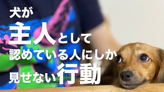 犬が主人として認めている人にしか見せない行動