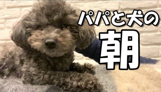 犬への愛が強すぎるパパと犬の朝はこうなります