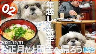 【2021.12/31】お正月だよ田舎へ帰ろうシーズー犬てんぽvol.02【大晦日】