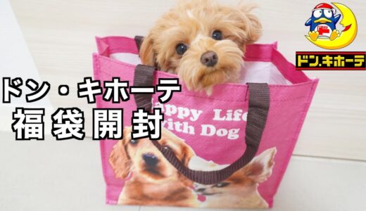 激安の殿堂ドン・キホーテの犬用福袋を開封した結果…【2022年】