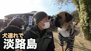 犬連れ淡路島を楽しむ