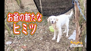 【犬】お爺の新たな秘密に気付く