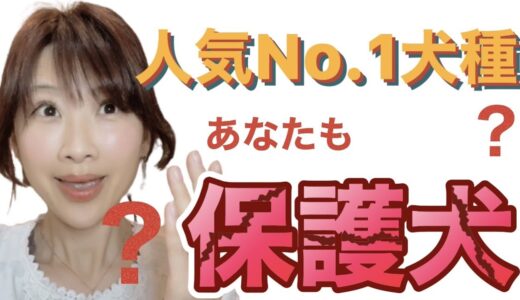 ○○が衝撃の汚さ！人気No.1犬種が保護犬！？【初日】【子犬？】