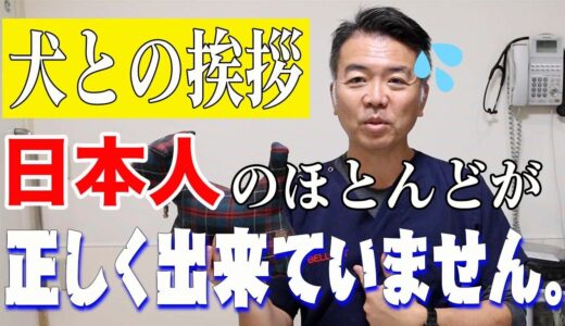 【犬　行動学】犬への挨拶、実は全く違う意味で伝わっています！！