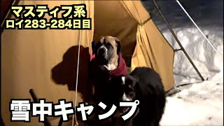 はちゃめちゃ雪中キャンプの日