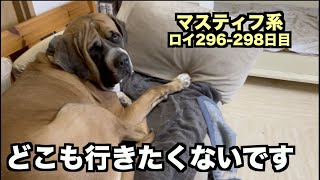 ニートの息子かw