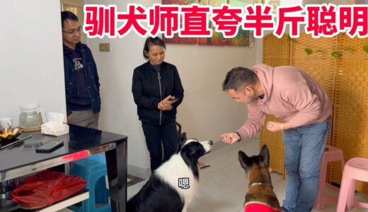 79Q：驯犬师朋友艾伦来家里做客，训练半斤效果出色！一家人出动逛花市