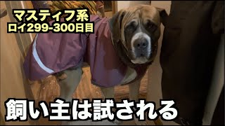 犬と駆け引き攻防！