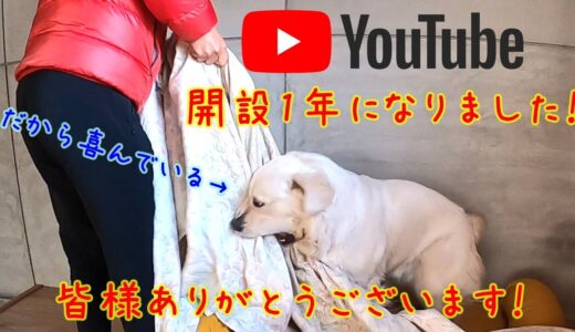 【YouTube】おかげさまで開設１年になりました！お犬様も喜んでおられます。