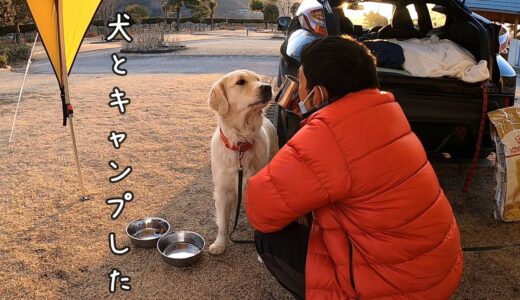 【キャンプ①】犬と行ってみた・・・。