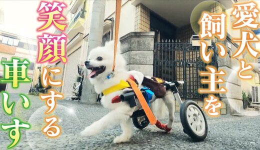 【もう一度自分の脚で歩いてほしい】愛犬と飼い主を笑顔にする“車いす”　8年間で3000台以上を作った夫婦の思い【大阪】