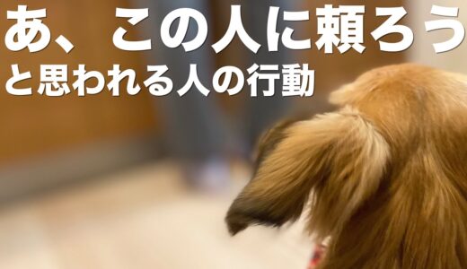 犬に頼りたいと思われる人の行動