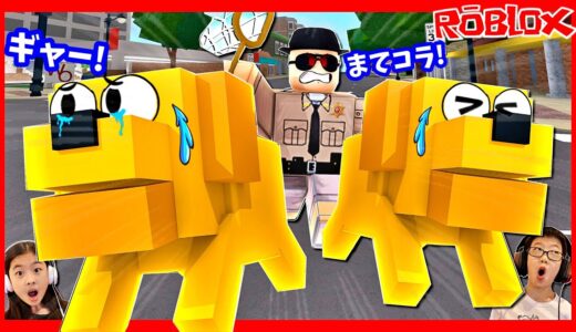 犬になって保健所につかまってしまった😨 ROBLOX Pet Story