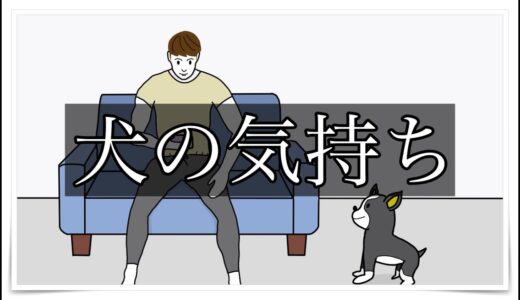 【アニメ】犬の気持ち